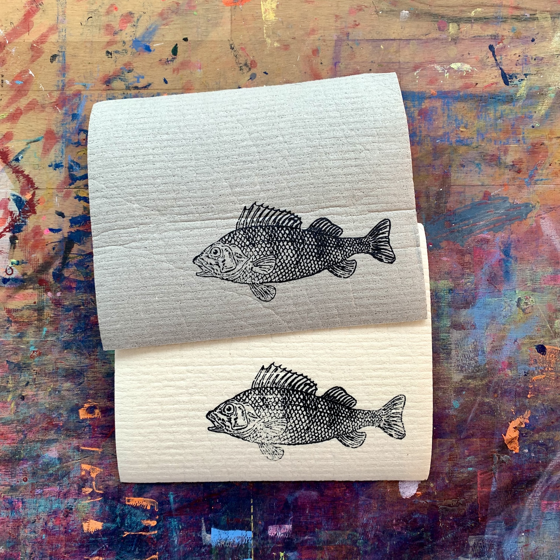 Schwammtuch barsch Schwammtuch barsch