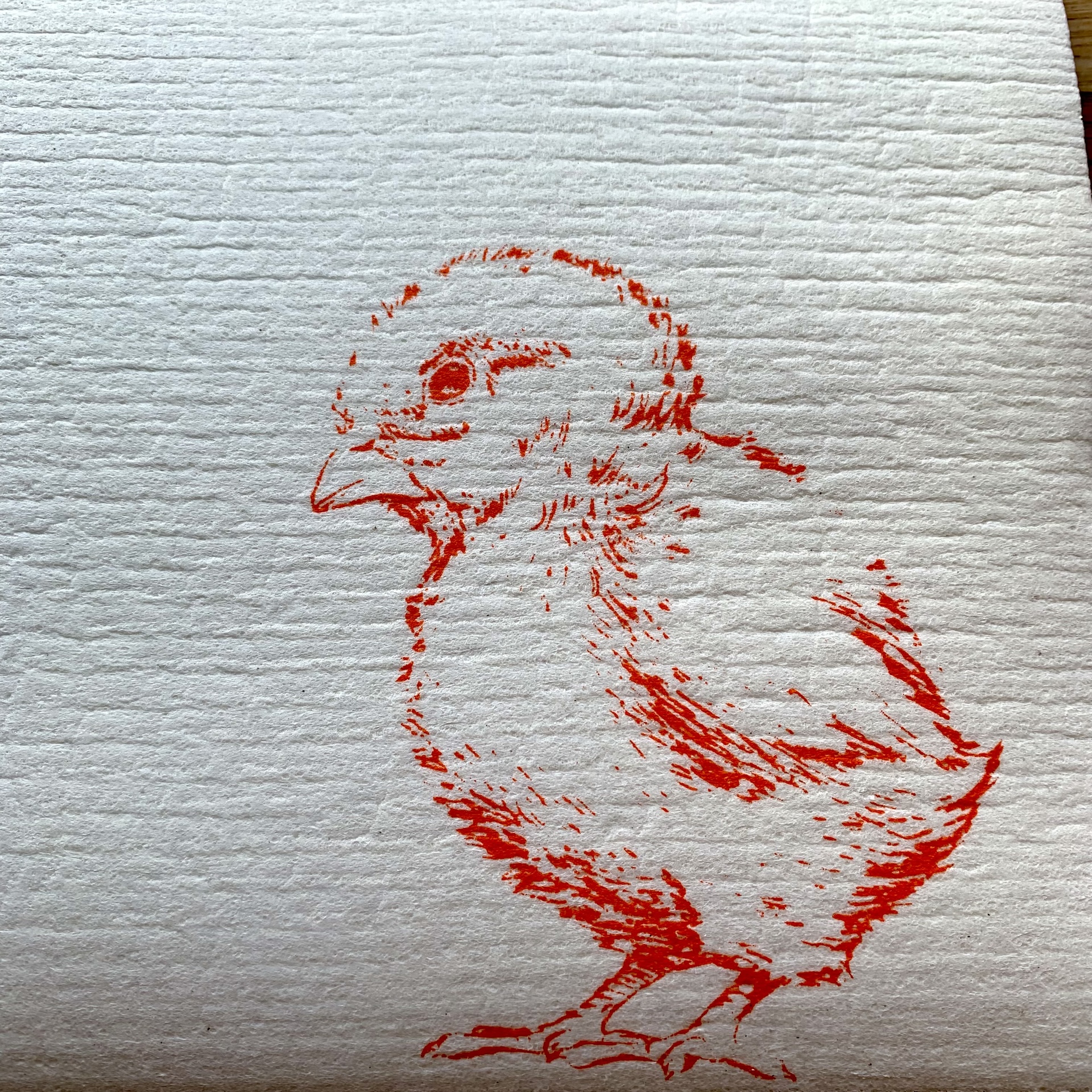 schwammtuch kücken groß schwammtuch kücken groß