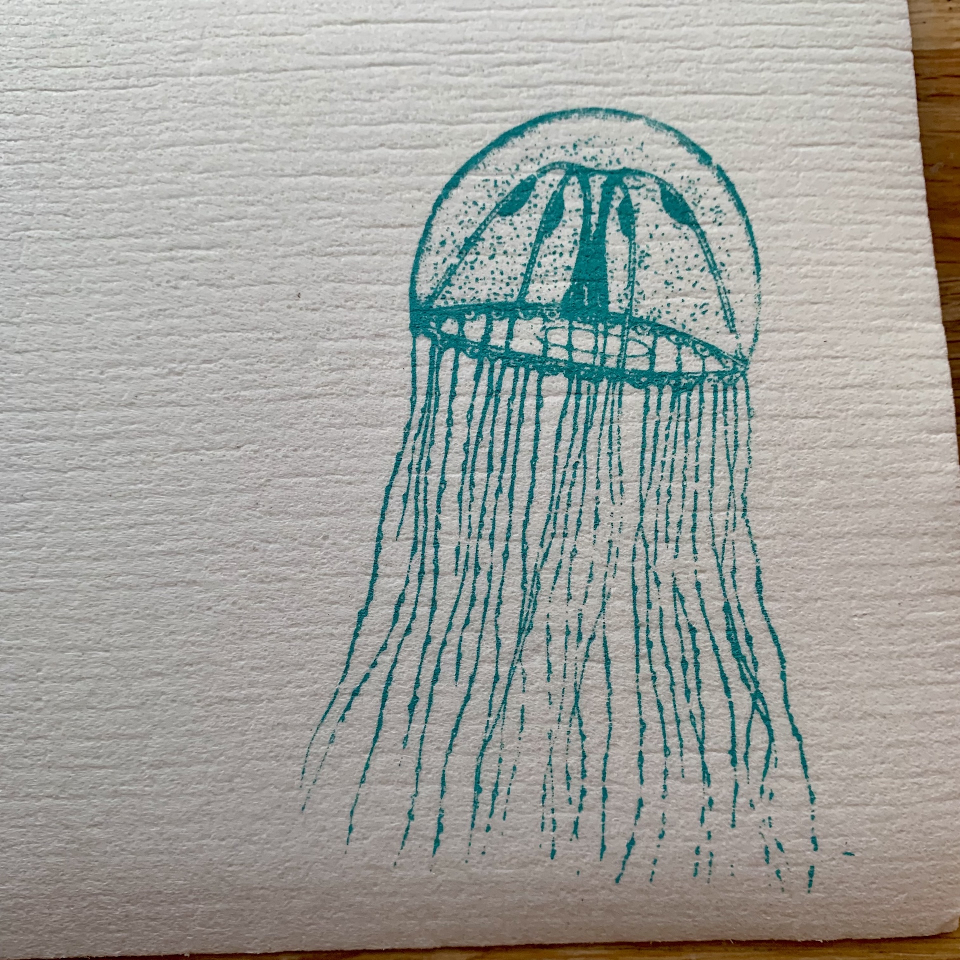 schwammtuch mit qualle schwammtuch mit qualle