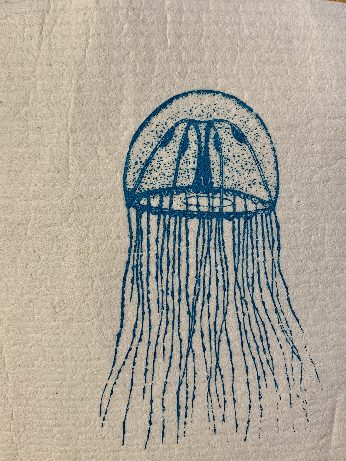 schwammtuch mit qualle schwammtuch mit qualle