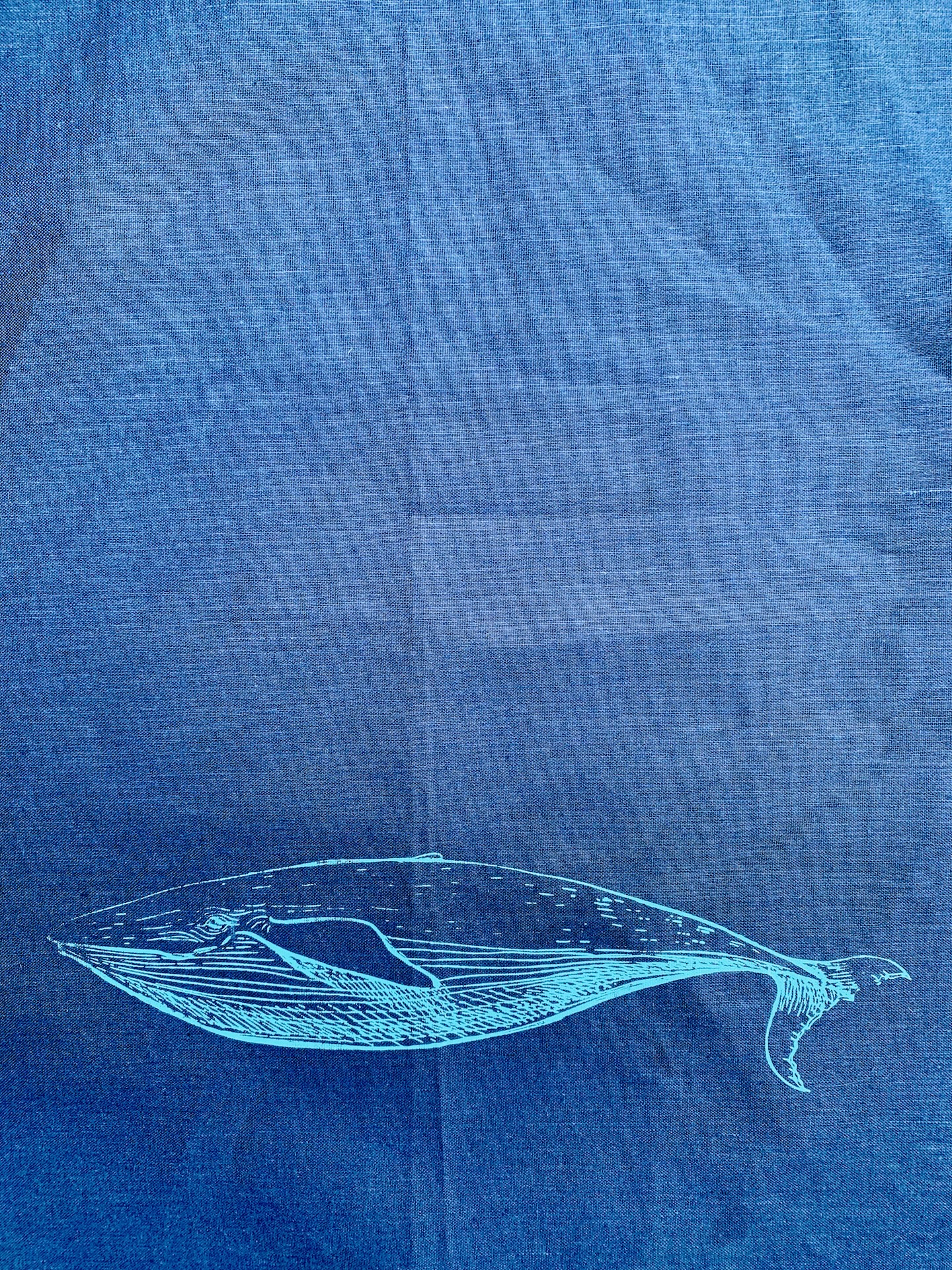 Handtuch Wal blau Handtuch Wal blau