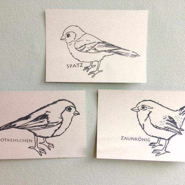 postkarten piepmätze