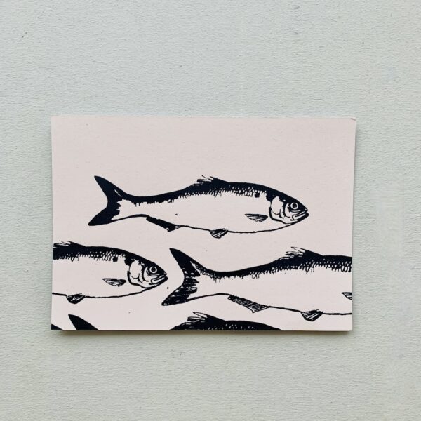 Postkarte Fischschwarm