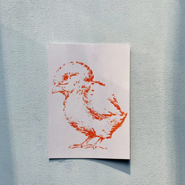 Österliche postkarten mit küken